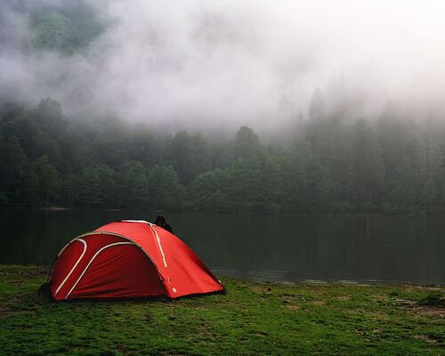 nature-camp-camping-forest